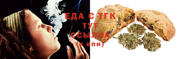 индика Нягань