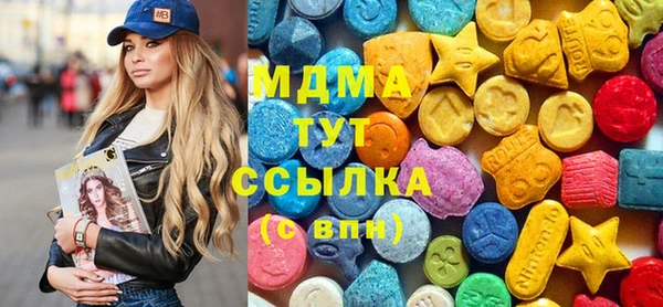 индика Нягань