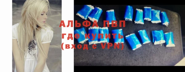 индика Нягань