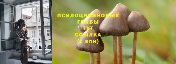 кристаллы Новокубанск