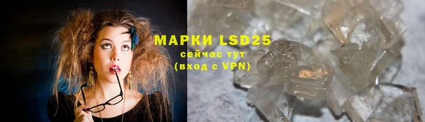 индика Нягань